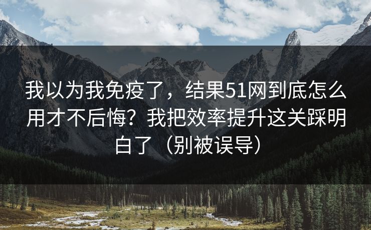 我以为我免疫了，结果51网到底怎么用才不后悔？我把效率提升这关踩明白了（别被误导）