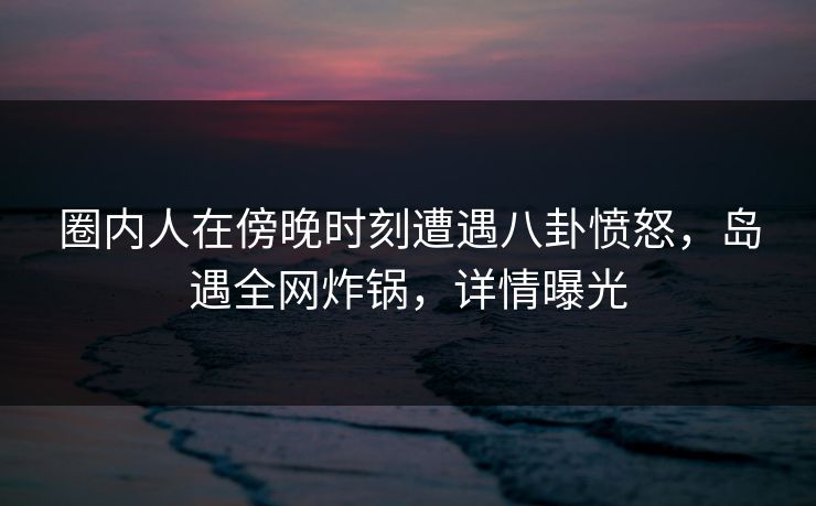 圈内人在傍晚时刻遭遇八卦愤怒,岛遇全网炸锅,详情曝光