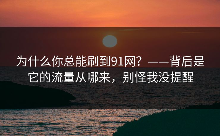 为什么你总能刷到91网？——背后是它的流量从哪来，别怪我没提醒